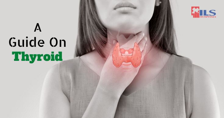 A Guide On Thyroid