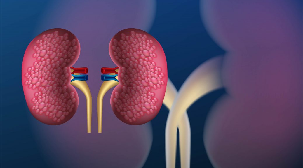 renal transplantation doctors Kolkata